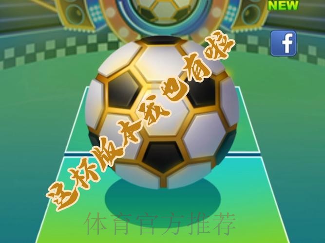 体验世界杯滚球网页版全站的乐趣